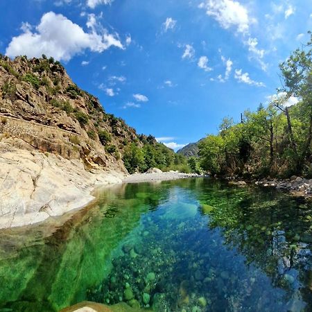 Domaine U Filanciu - Casa Ghjulia - Centru Di Corsica Villa Moltifao Kültér fotó