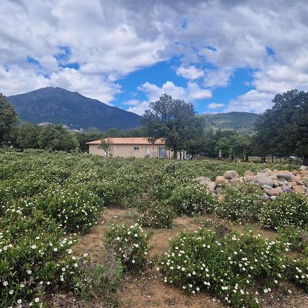 Domaine U Filanciu - Casa Ghjulia - Centru Di Corsica Villa Moltifao Kültér fotó