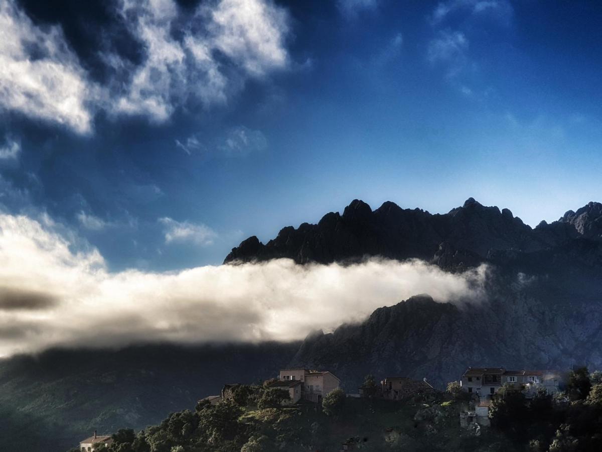 Domaine U Filanciu - Casa Ghjulia - Centru Di Corsica Villa Moltifao Kültér fotó